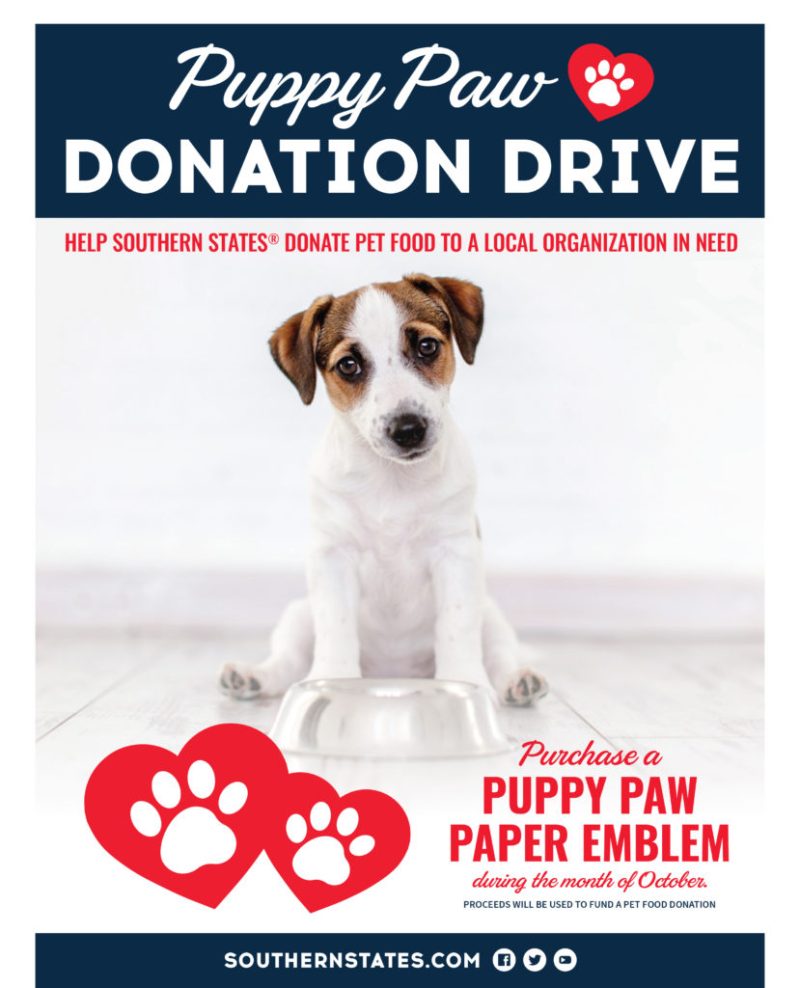 Donate To Spca